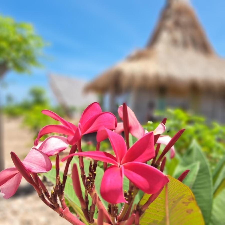 Hars Garden Sumba 호텔 와잉아푸 외부 사진